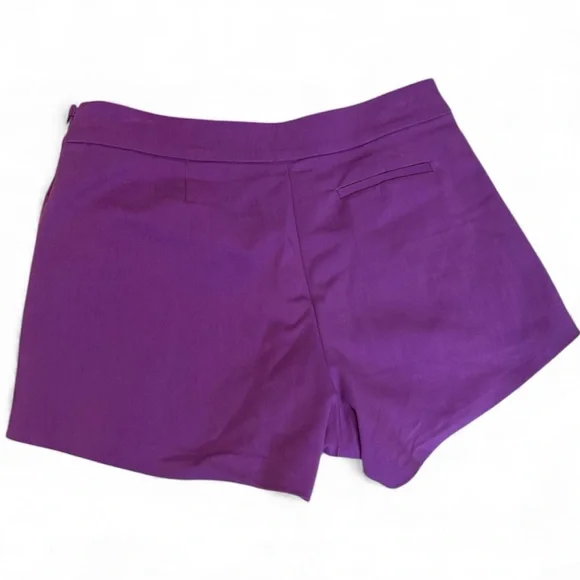 Ramy Brook Shorts Purple Size 4